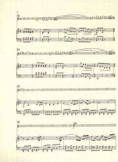 Concertino für Flöte und Klavier von Siegfried Thiele im Alle Noten Shop kaufen