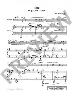 12 Lieder ohne Worte von Karel van Steenhoven 