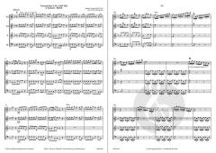 Concerto Op. 8, 3 'Herbst' (RV 293) (Antonio Vivaldi) 
