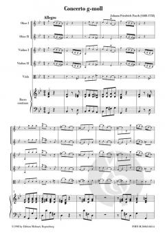 Concerto in g-Moll FWV L:g4 (Johann Friedrich Fasch) 