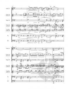 Serenade op. 44 von Antonín Dvořák (Download) 