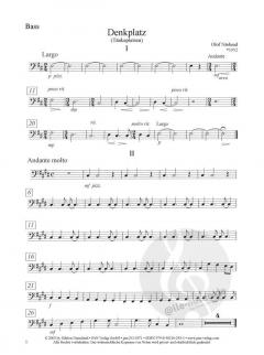 Denkplatz (Tänkeplatsen) von Olof Näslund für Gitarre und Zupforchester im Alle Noten Shop kaufen (Partitur)