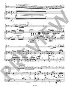 Concertstück op. 3 von Joachim Andersen 