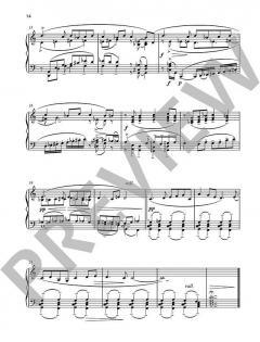 Preludi Band 3 von Renato de Grandis 