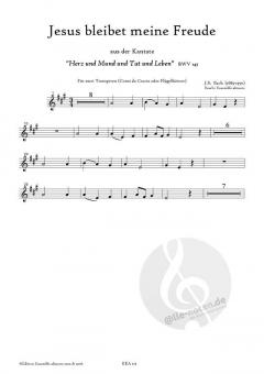 Jesus bleibet meine Freude von Johann Sebastian Bach 