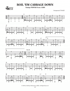 Alternate Tunings For Five-String Banjo im Alle Noten Shop kaufen