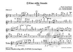 Jubiläumsausgabe - Ernst Mosch Welterfolge (Ernst Mosch) 