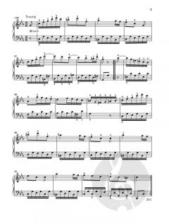 At The Piano - Beethoven 