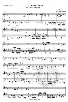 Hochzeit des Figaro (Wolfgang Amadeus Mozart) 