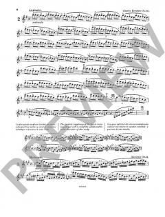 Les Maitres du Violon 7 von Mathieu Crickboom 