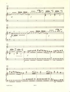 Konzert in C-Dur Hob. VIIg: C 1 von Joseph Haydn 
