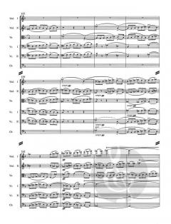 Aus Böhmens Hain und Flur von Bedrich Smetana (Download) 