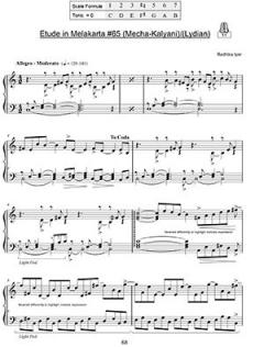 Elements of Indian Music - the Melakarta System von Radhika Iyer 