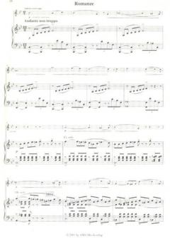 Violinkonzert No. 2 d-moll, op. 22 von Henryk Wieniawski im Alle Noten Shop kaufen - AMA610272A