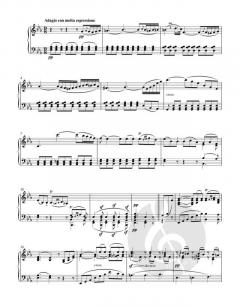 Grande Sonate in B op. 22 von Ludwig van Beethoven (Download) 