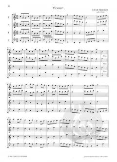 Quartett-Spielbuch 2 von Ulrich Herrmann 