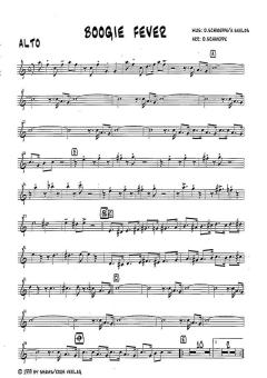 Boogie Fever von Dirk Schweppe 