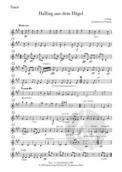 Halling aus dem Hügel von Edvard Grieg 