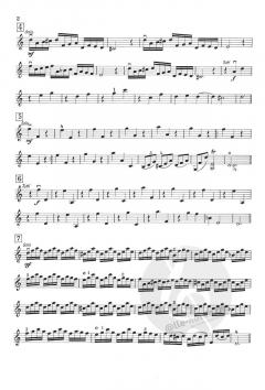 Concerto grosso 'La Follia' von Francesco Geminiani 