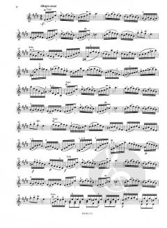 Konzert E-Dur BWV 1042 von Johann Sebastian Bach 